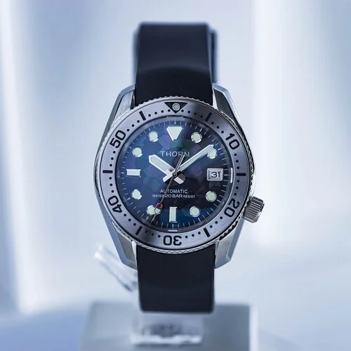 abalone Black