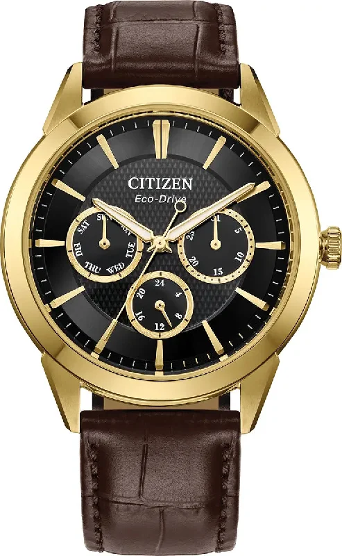 men's mechanical watches with backlight display -Citizen Rolan Mens